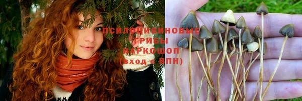 каннабис Дмитриев