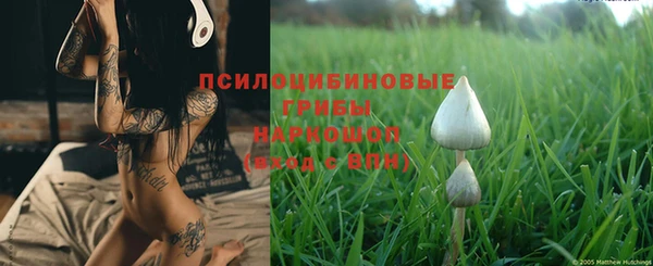 каннабис Дмитриев
