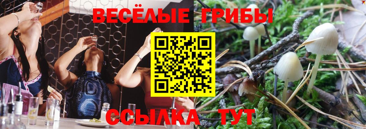 Якутск  Галлюциногенные грибы мухоморы  Вход с VPN  Псилоцибиновые грибы MAGIC MUSHROOMS 